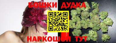 гидра Сланцы